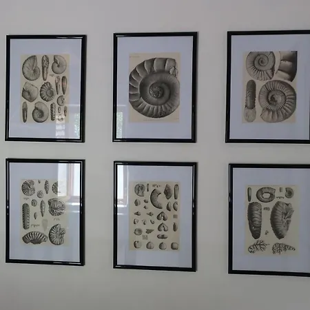 Frühstückspension D'hotes Le Chene Ban-sur-Meurthe-Clefcy