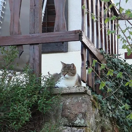 D'hotes Le Chene 3* Ban-sur-Meurthe-Clefcy