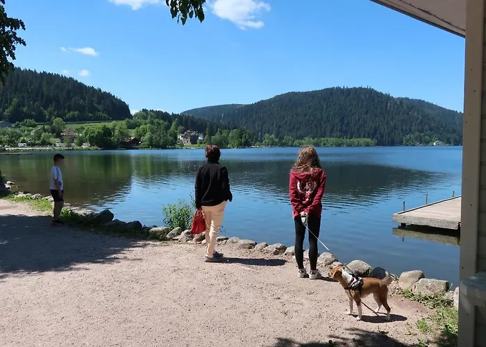 Bed & Breakfast D'hotes Le Chene 3*