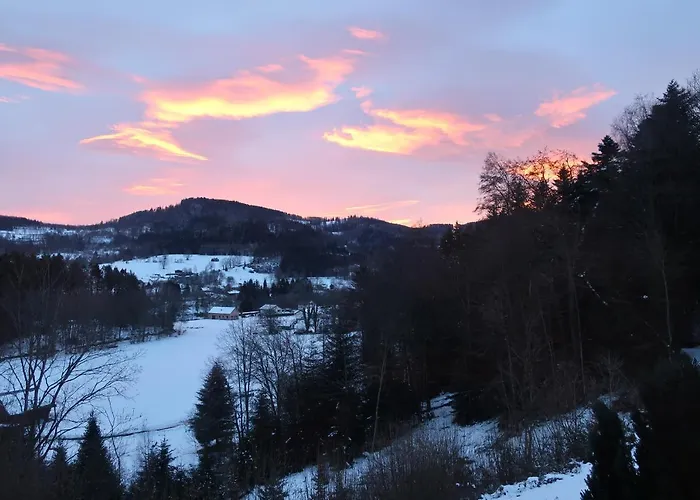 D'hotes Le Chene Bed & Breakfast Ban-sur-Meurthe-Clefcy