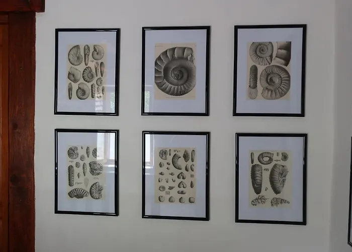 Bed & Breakfast D'hotes Le Chene Ban-sur-Meurthe-Clefcy