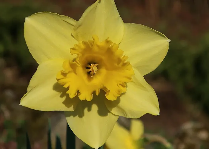 D'hotes Le Chene Bed & Breakfast Ban-sur-Meurthe-Clefcy